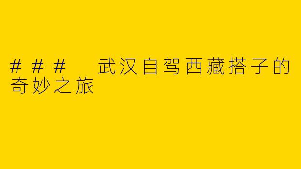 ### 武汉自驾西藏搭子的奇妙之旅