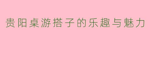 贵阳桌游搭子的乐趣与魅力