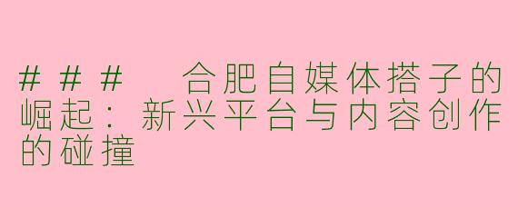 ### 合肥自媒体搭子的崛起：新兴平台与内容创作的碰撞