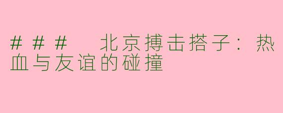 ### 北京搏击搭子：热血与友谊的碰撞