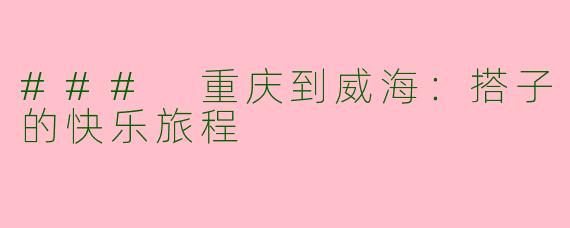 ### 重庆到威海：搭子的快乐旅程