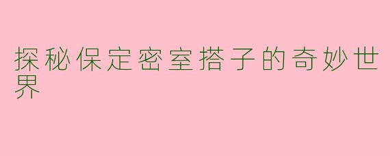 探秘保定密室搭子的奇妙世界