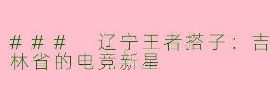### 辽宁王者搭子：吉林省的电竞新星