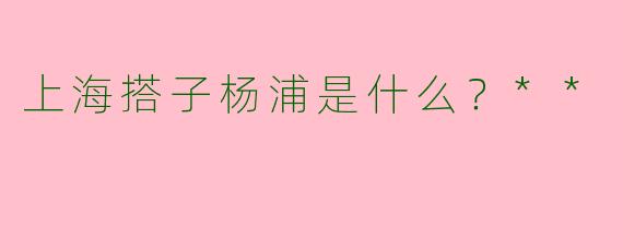 上海搭子杨浦是什么?**