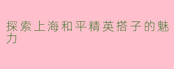 探索上海和平精英搭子的魅力