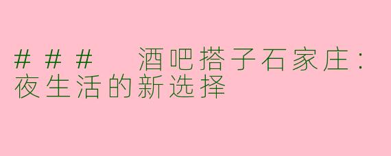 ### 酒吧搭子石家庄：夜生活的新选择