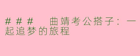 ### 曲靖考公搭子：一起追梦的旅程