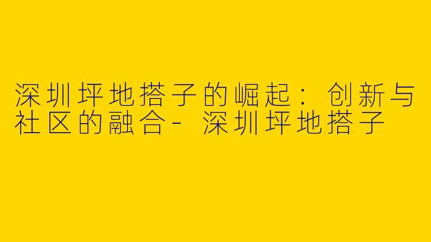 深圳坪地搭子的崛起：创新与社区的融合-深圳坪地搭子