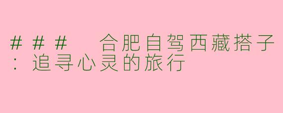 ### 合肥自驾西藏搭子：追寻心灵的旅行