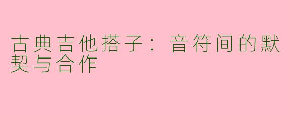 古典吉他搭子：音符间的默契与合作