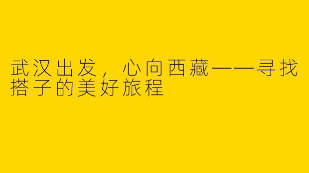 武汉出发，心向西藏——寻找搭子的美好旅程