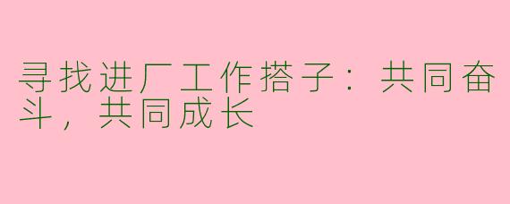 寻找进厂工作搭子：共同奋斗，共同成长