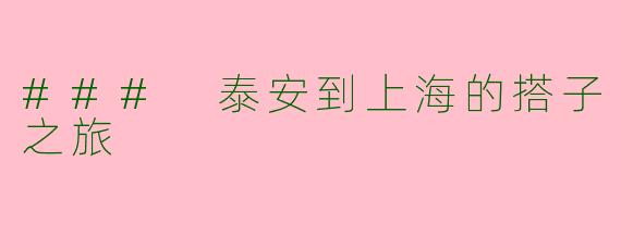 ### 泰安到上海的搭子之旅