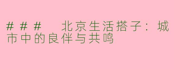 ### 北京生活搭子：城市中的良伴与共鸣