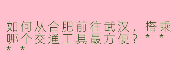 如何从合肥前往武汉,搭乘哪个交通工具最方便?****