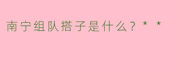 南宁组队搭子是什么？**