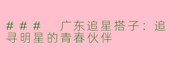 ### 广东追星搭子：追寻明星的青春伙伴