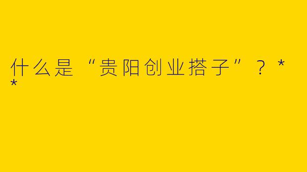 什么是“贵阳创业搭子”?**