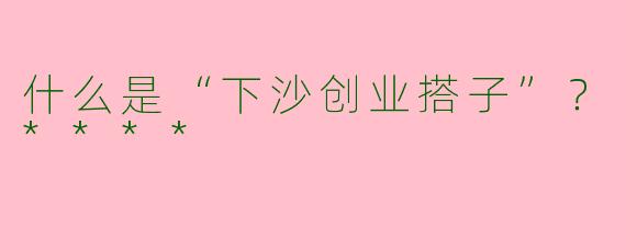 什么是“下沙创业搭子”？****
