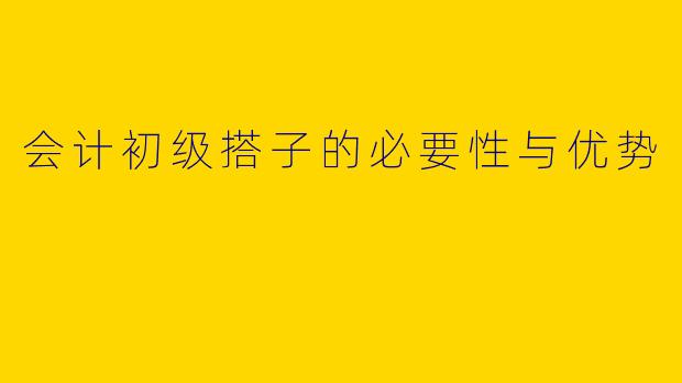 会计初级搭子的必要性与优势