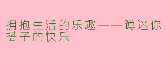 拥抱生活的乐趣——蹲迷你搭子的快乐