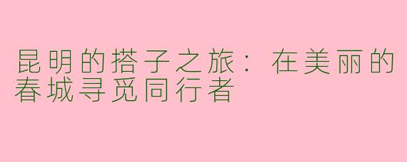 昆明的搭子之旅：在美丽的春城寻觅同行者