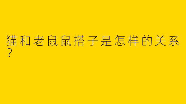 猫和老鼠鼠搭子是怎样的关系？