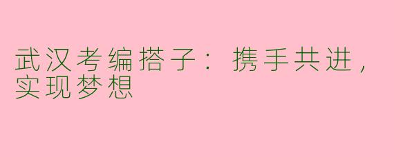 武汉考编搭子：携手共进，实现梦想