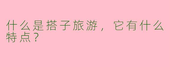 什么是搭子旅游，它有什么特点？