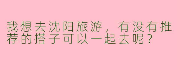 我想去沈阳旅游，有没有推荐的搭子可以一起去呢？