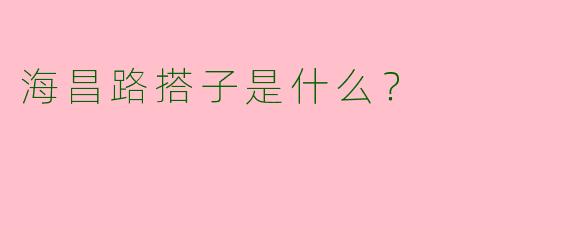 海昌路搭子是什么？  