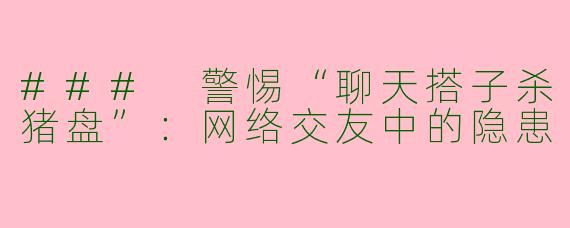 ### 警惕“聊天搭子杀猪盘”：网络交友中的隐患