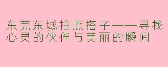 东莞东城拍照搭子——寻找心灵的伙伴与美丽的瞬间