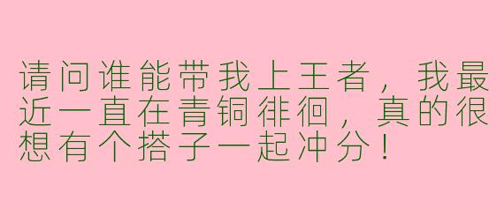 请问谁能带我上王者,我最近一直在青铜徘徊,真的很想有个搭子一起冲分!
