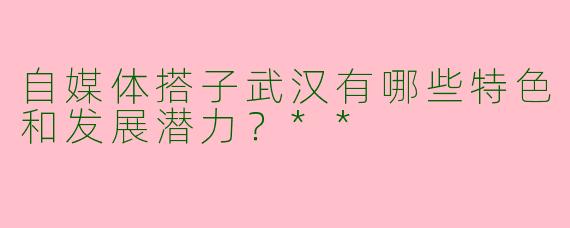 自媒体搭子武汉有哪些特色和发展潜力？**