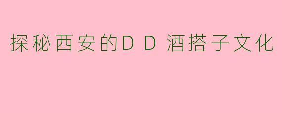 探秘西安的DD酒搭子文化