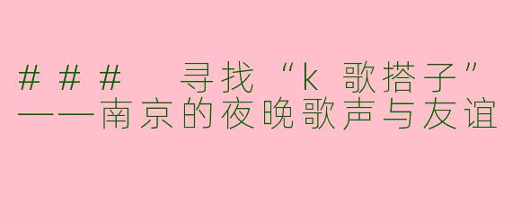 ### 寻找“k歌搭子”——南京的夜晚歌声与友谊