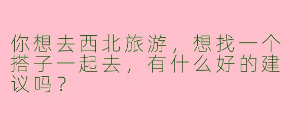 你想去西北旅游，想找一个搭子一起去，有什么好的建议吗？