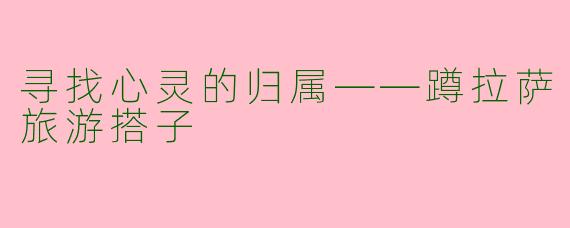 寻找心灵的归属——蹲拉萨旅游搭子