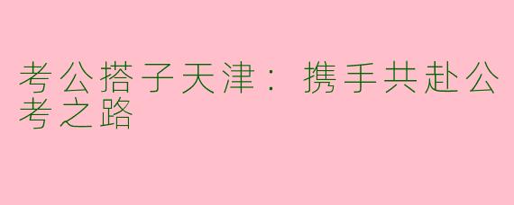 考公搭子天津：携手共赴公考之路