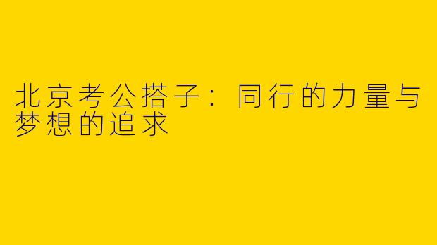 北京考公搭子：同行的力量与梦想的追求