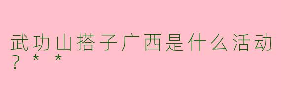 武功山搭子广西是什么活动？**