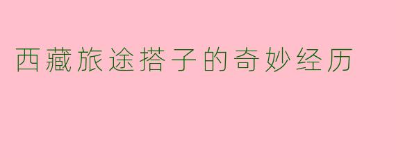西藏旅途搭子的奇妙经历