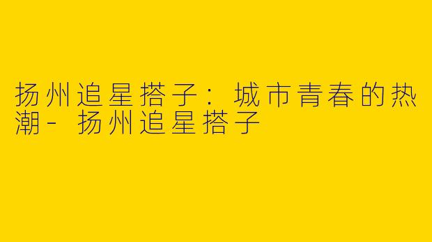 扬州追星搭子：城市青春的热潮-扬州追星搭子