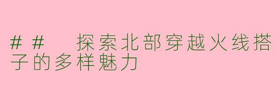 ## 探索北部穿越火线搭子的多样魅力