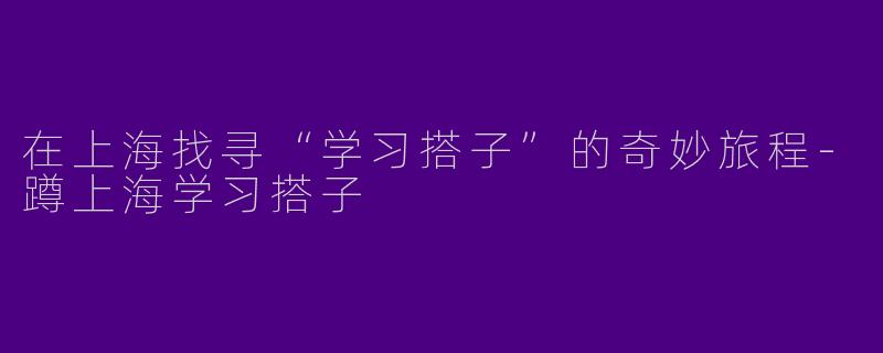 在上海找寻“学习搭子”的奇妙旅程-蹲上海学习搭子
