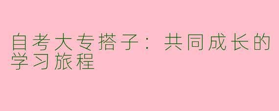 自考大专搭子：共同成长的学习旅程