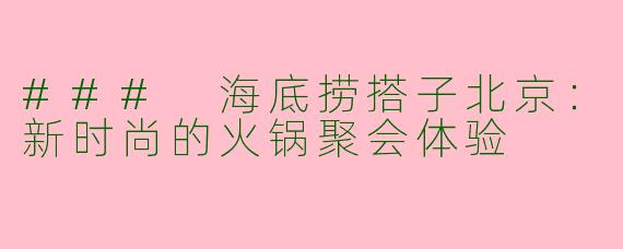 ### 海底捞搭子北京：新时尚的火锅聚会体验