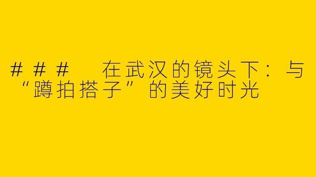 ### 在武汉的镜头下：与“蹲拍搭子”的美好时光