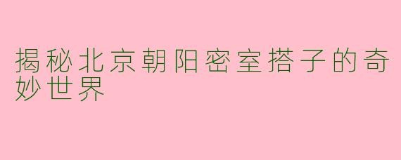 揭秘北京朝阳密室搭子的奇妙世界